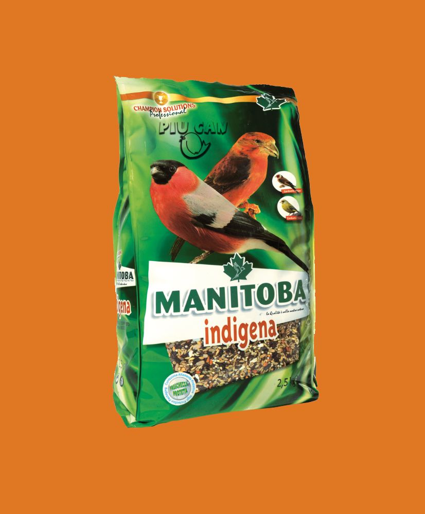 Manitoba Indigena