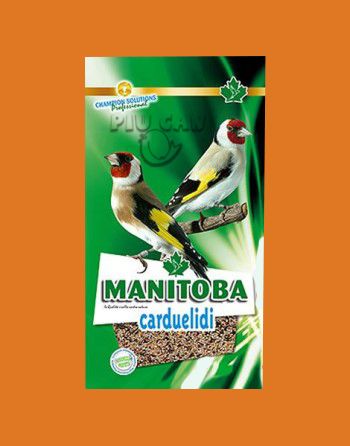 Manitoba Carduelidi