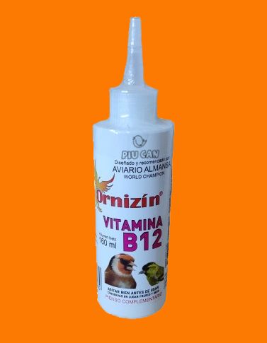 B12