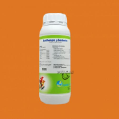 Antihongos y bacterias 1l