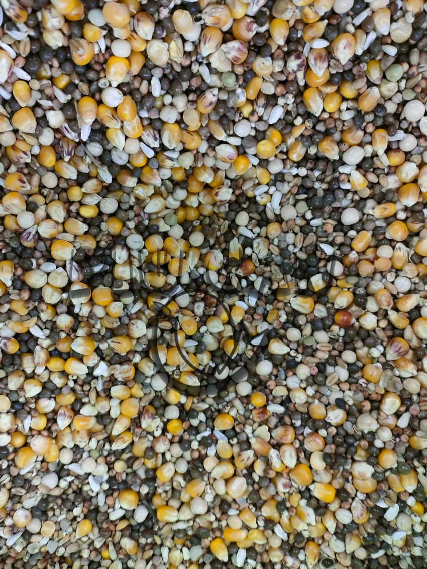 Mixtura palomas