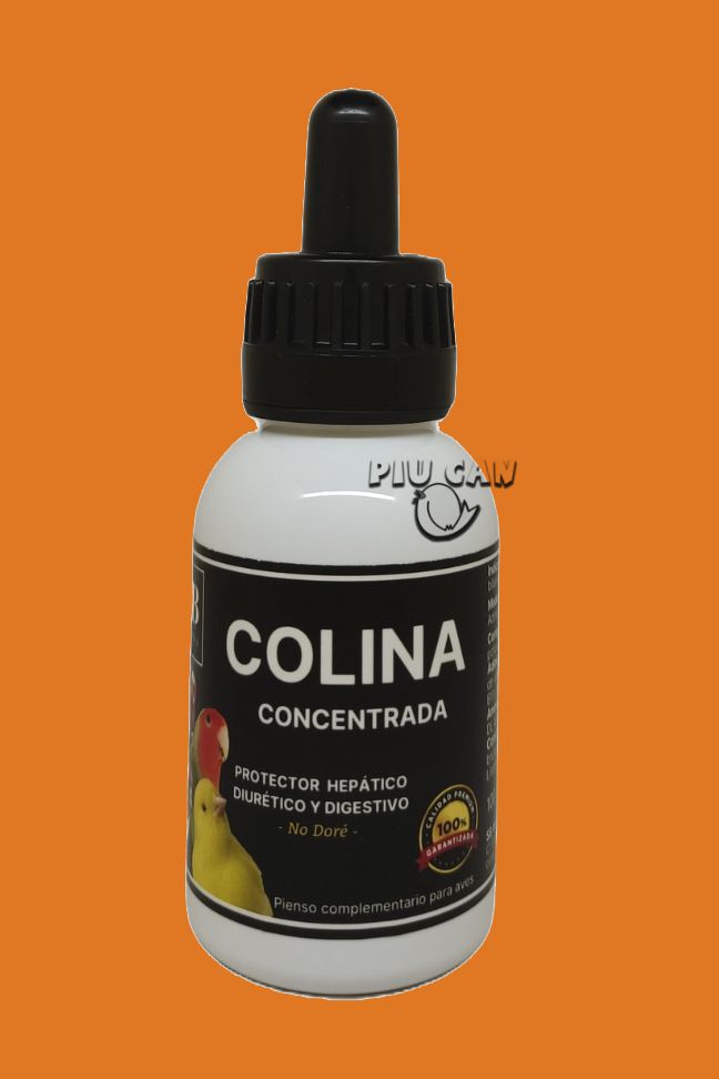 Colina concetrada Piu can