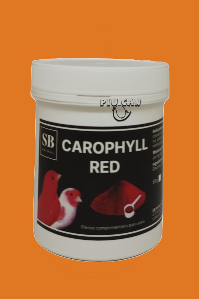 Carofil Rojo Piu Can
