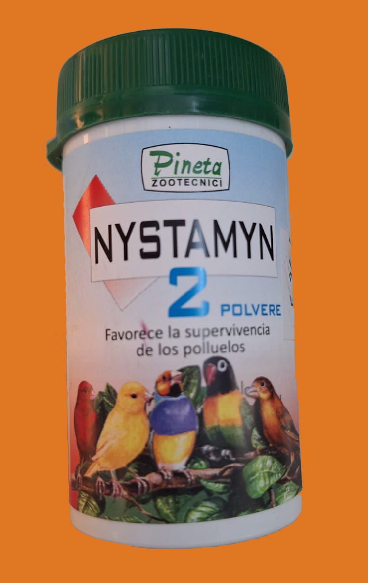 Nystamin 2 40g