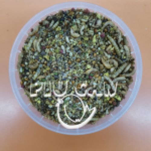 Pasta insectívoras