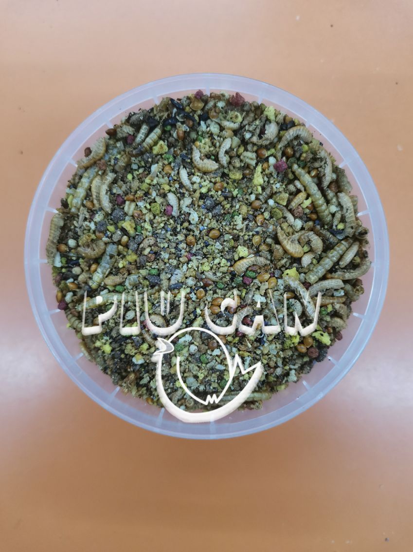 Pasta insectívoras