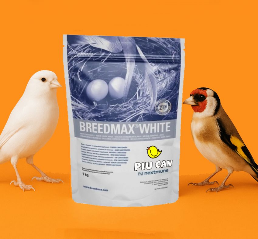 Breedmax white