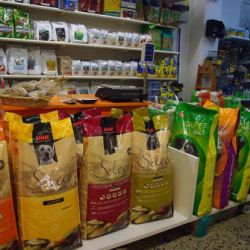 Alimentación Perros