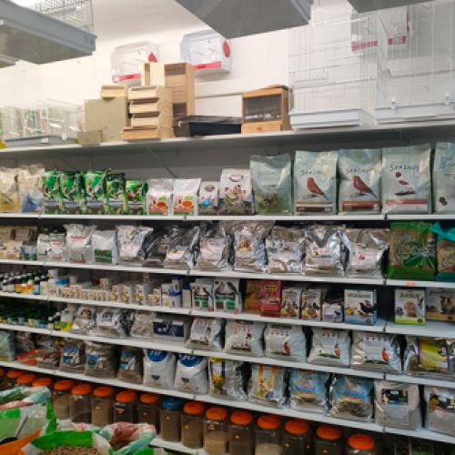 Piensos y alimentación