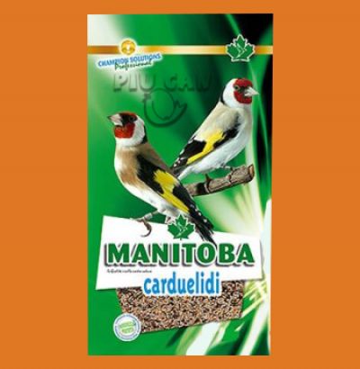 Manitoba Carduelidi